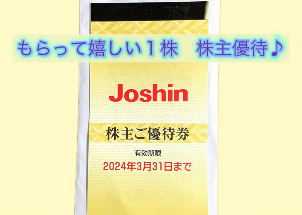 上新電機 【8173】１株保有で買物優待券いただいたのでヤフオクで出品してみました | ささりんどう